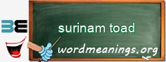 WordMeaning blackboard for surinam toad